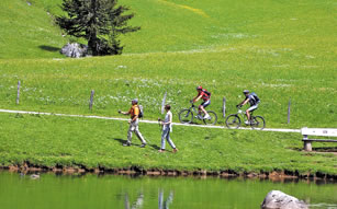 Mountainbiken in Filzmoos