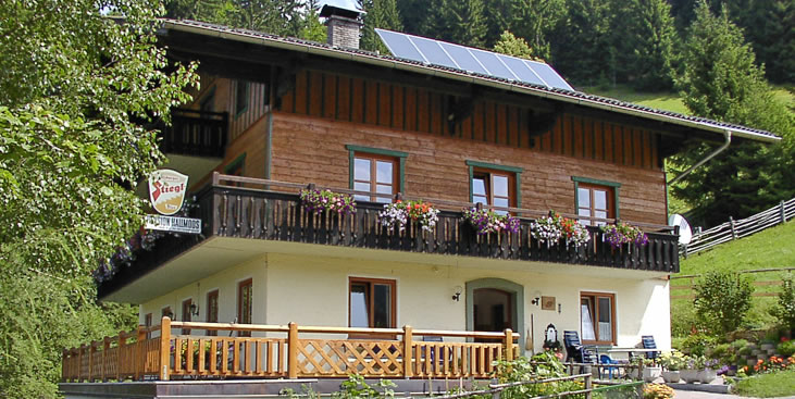 Ferienwohnungen Hallmooshof in Filzmoos