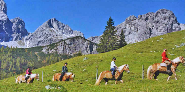 Reiturlaub am Fuße der Bischofsmütze. auf dem Hallmooshof in Filzmoos, Österreich